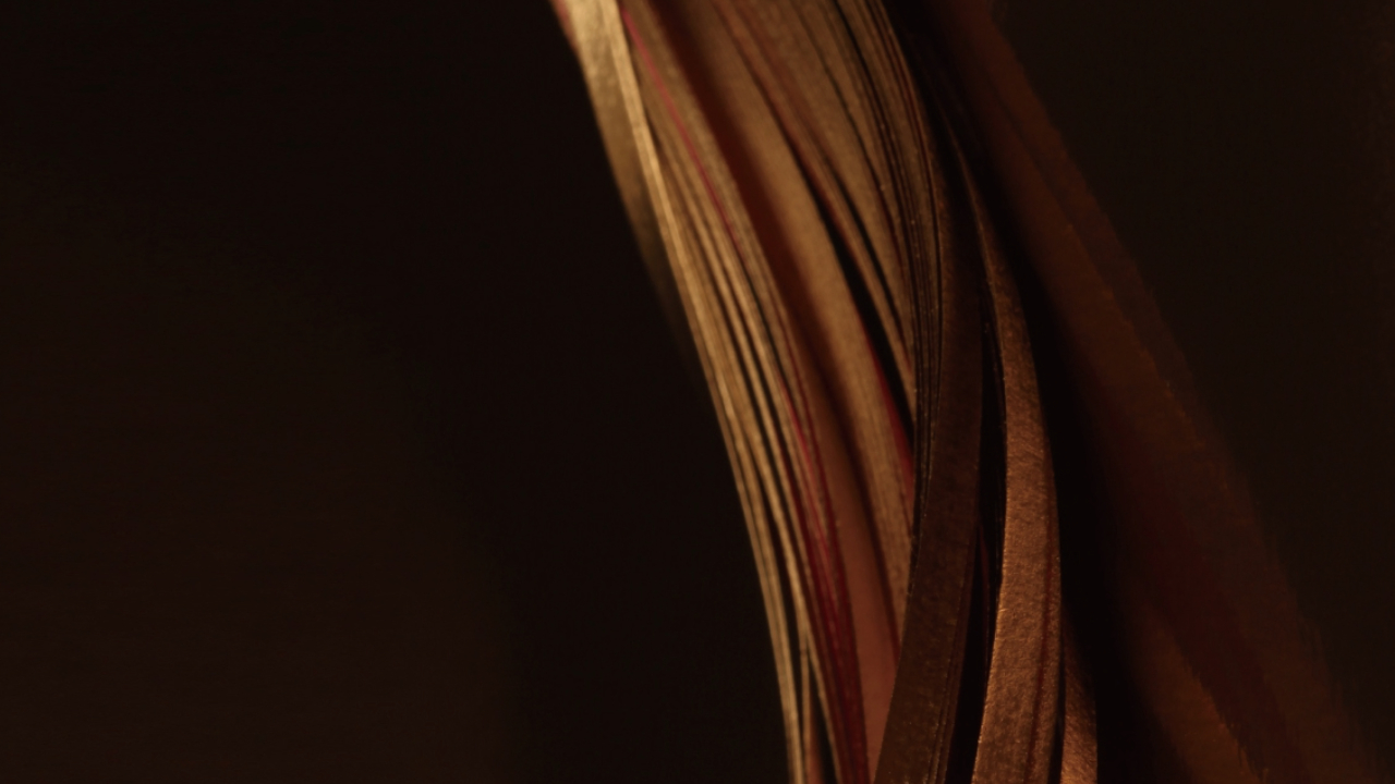 國穗軒 | 灣仔優質粵式點心餐廳 Top Heading